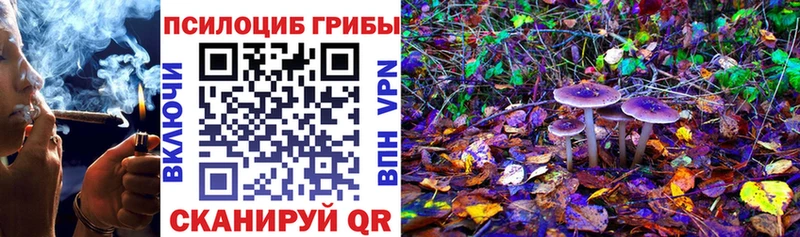 Галлюциногенные грибы MAGIC MUSHROOMS  даркнет какой сайт  Приволжск  где купить наркоту 